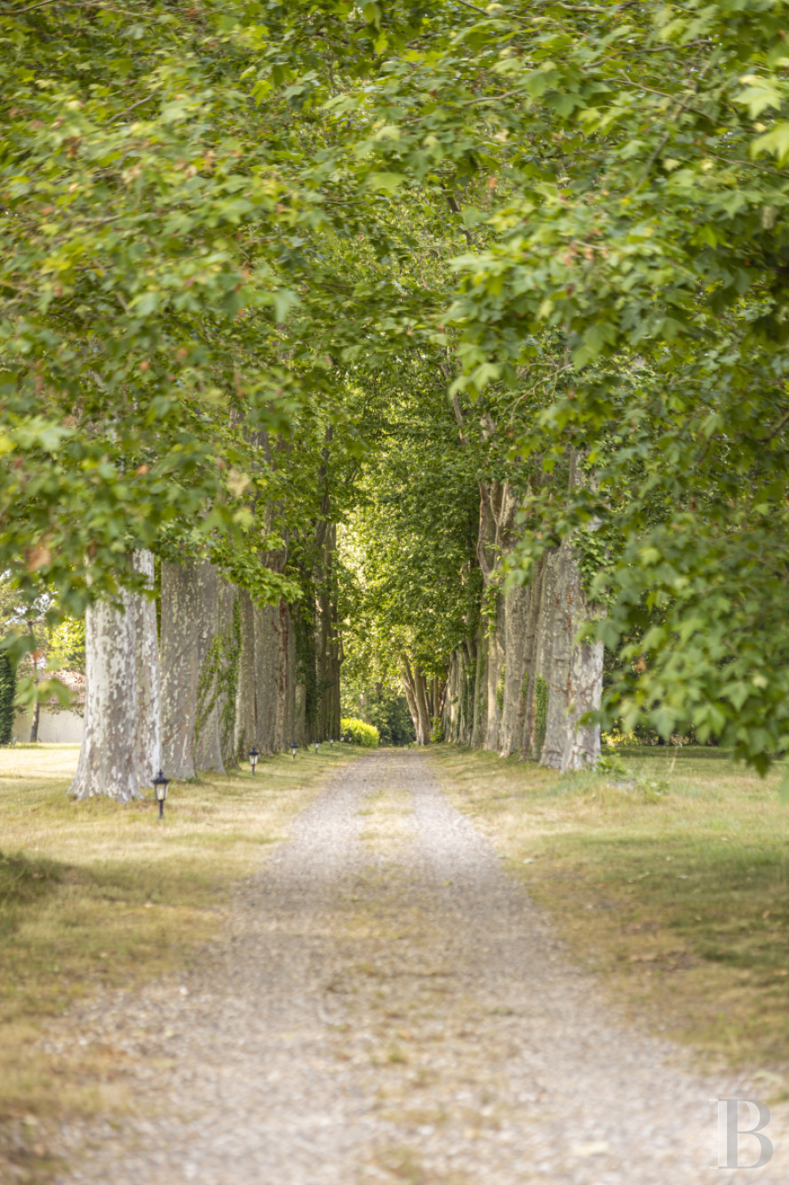 Au sud du Loiret, à Bonny-sur-Loire, un château d’inspiration Directoire entouré de bois - photo  n°38